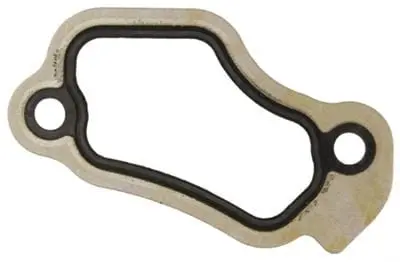 Fel-Pro 35863 Water Neck Gasket 1